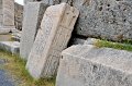 43 d_DSC_0172